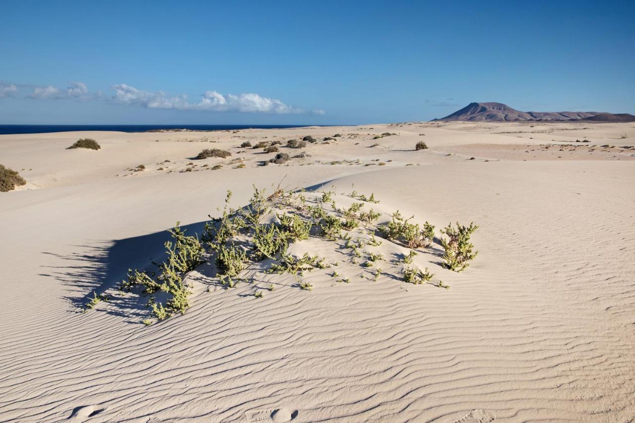 Las Fuentes Corralejo Kültér fotó